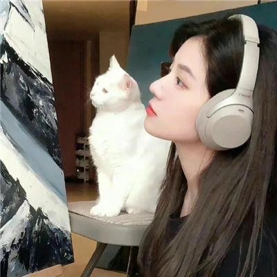 档案风暴